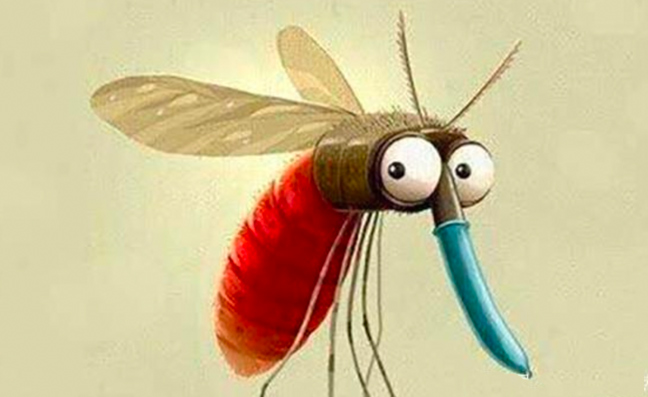 蚊蝇会传播新冠病毒吗？听听专家的说法